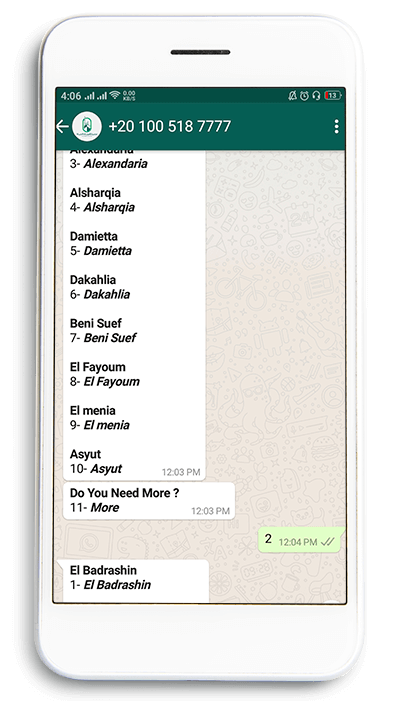 whatsapp bot