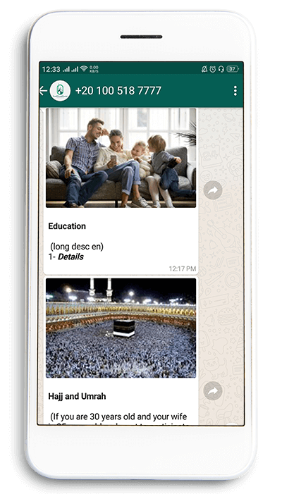 whatsapp chatbots