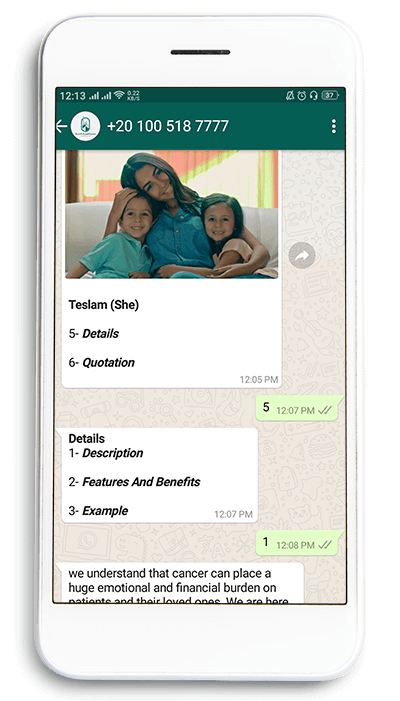 whatsapp chatbot for business